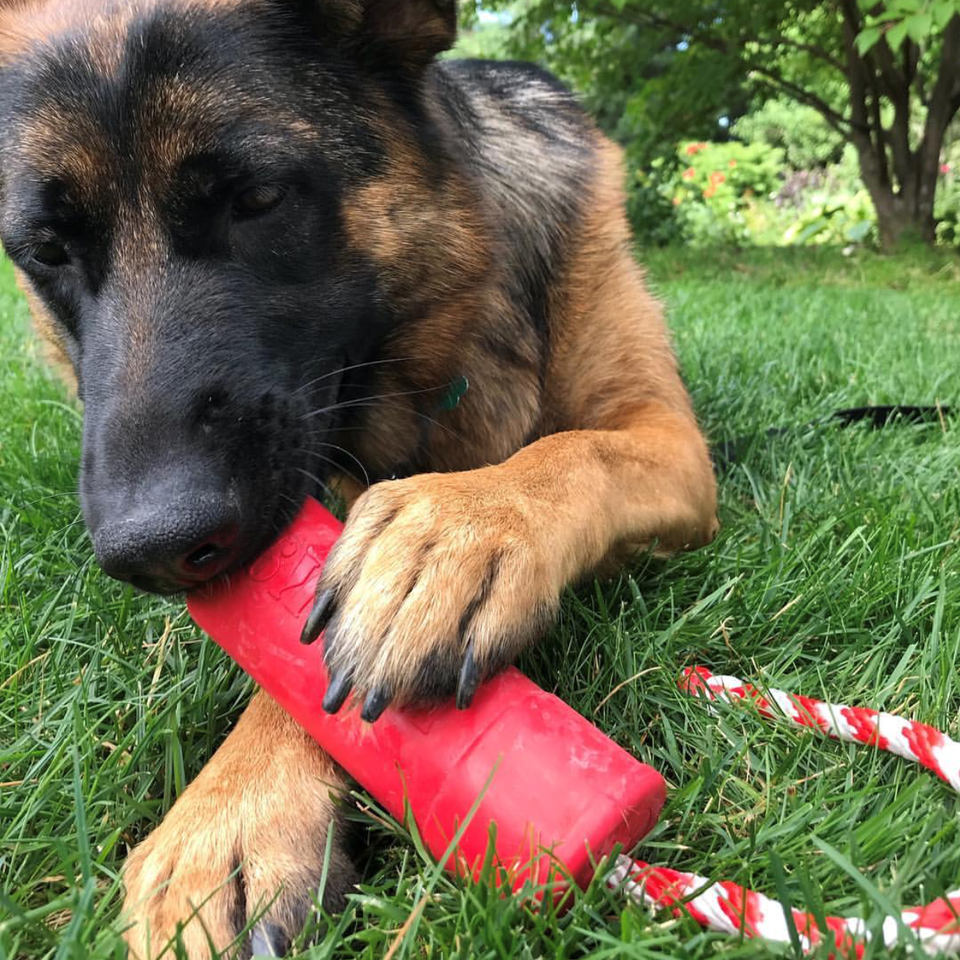 SodaPup- USA-K9 Firecracker Training Dummy - Floating Toy