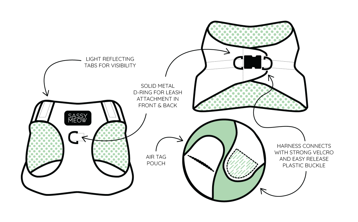 SASSY MEOW- Cat Harness - I Chews You