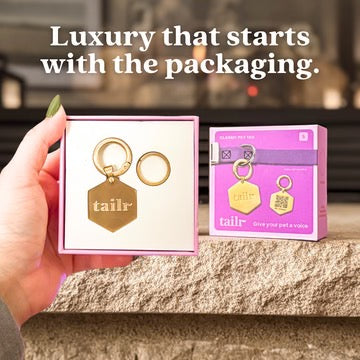 Tailr- Classic QR Code Pet ID Tag
