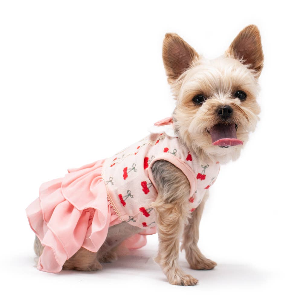 Dogo Pet- Cherish Cherry Dress