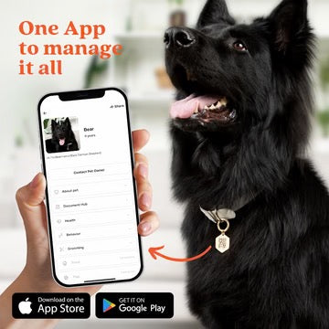 Tailr- Classic QR Code Pet ID Tag