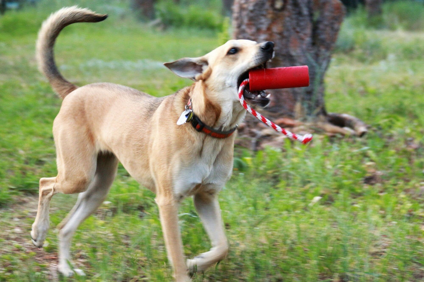 SodaPup- USA-K9 Firecracker Training Dummy - Floating Toy