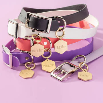 Tailr- BioThene Pet Collar - Pleasant Plum