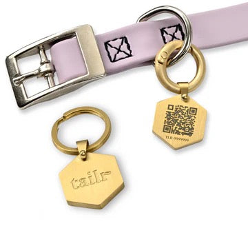 Tailr- Classic QR Code Pet ID Tag