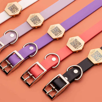 Tailr- BioThene Pet Collar - Pleasant Plum