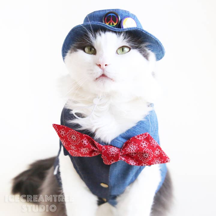Icecreamtree Studio- Denim Bucket Hat - Pet Hat