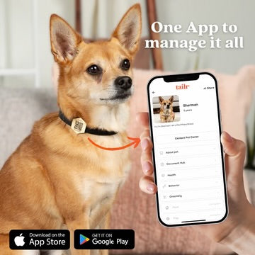 Tailr- Slide-On QR Code Pet ID Tag
