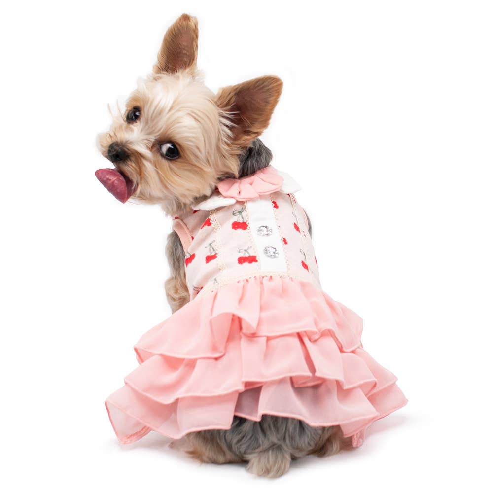 Dogo Pet- Cherish Cherry Dress