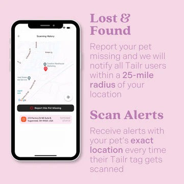 Tailr- Classic QR Code Pet ID Tag