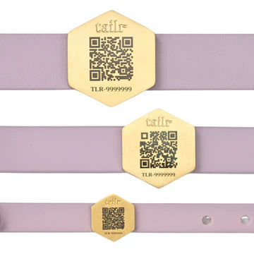 Tailr- Slide-On QR Code Pet ID Tag