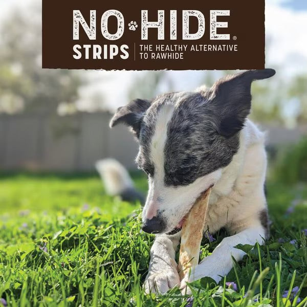 Earth Animal- No Hide Strips - 4 Pack