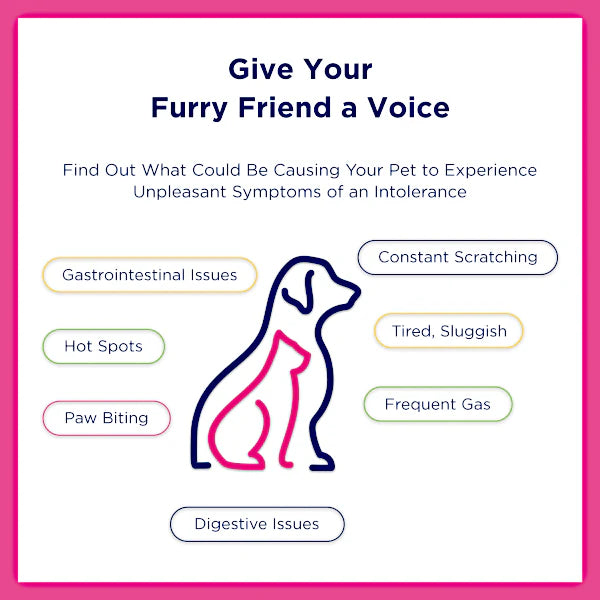 UCARI- Intolerance Testing Kit For Pet