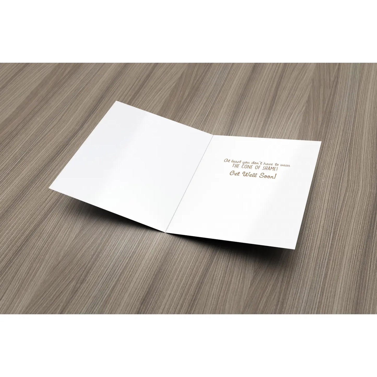 Fresh Frances- Sit Stay Heal Get Well Card