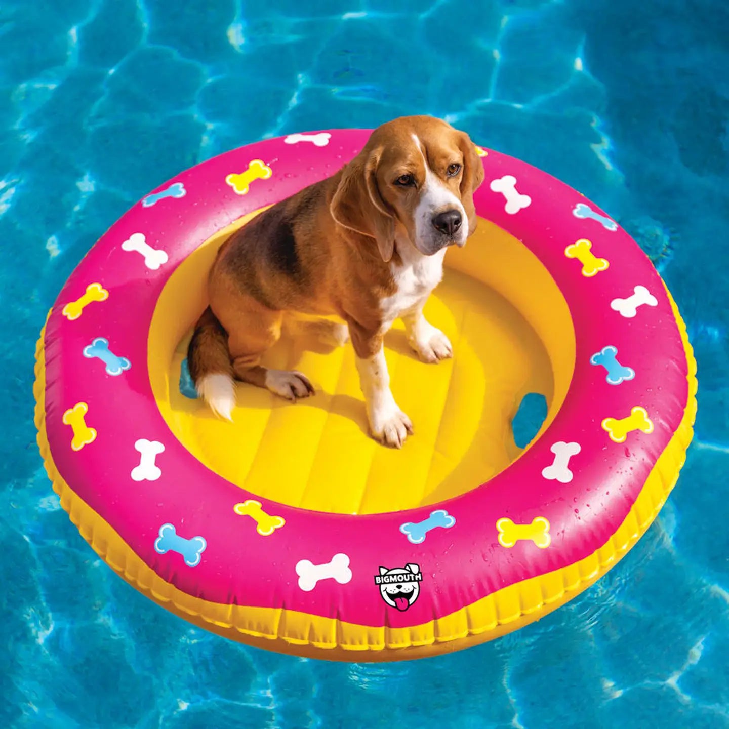 BigMouth Inc- Donut Dog Float