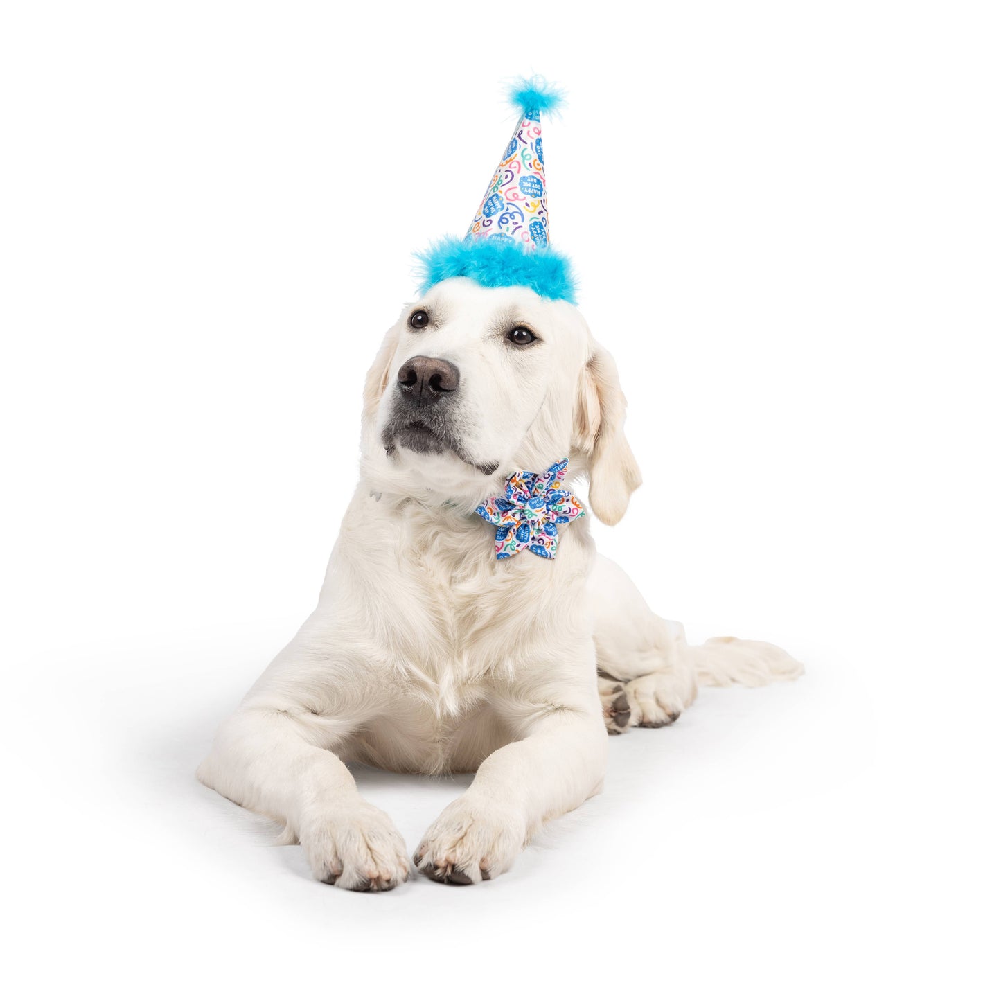 Huxley & Kent- Party Hat - Happy Got Me Day