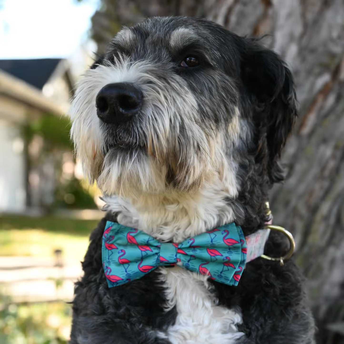 Huxley & Kent- Bow Tie - Flamingo