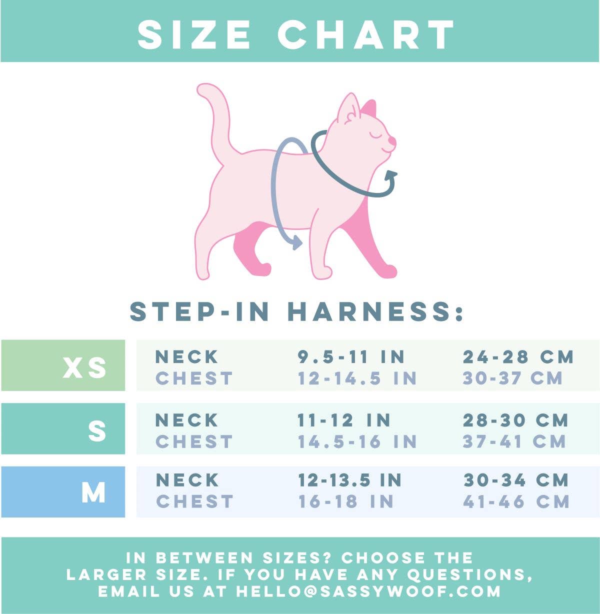 SASSY MEOW- Cat Harness - I Chews You