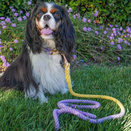 SASSY WOOF- Dog Rope Leash - Dukes