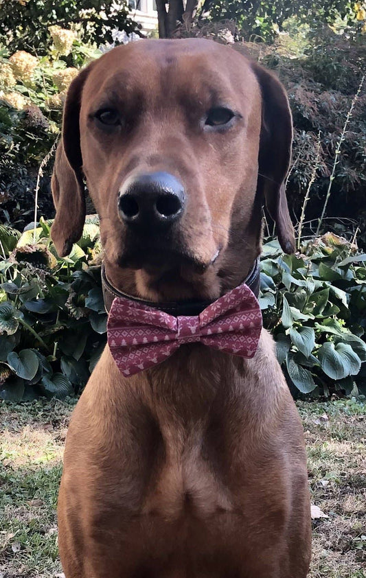 Koa's Ruff Life- Bow Tie - Reindeer