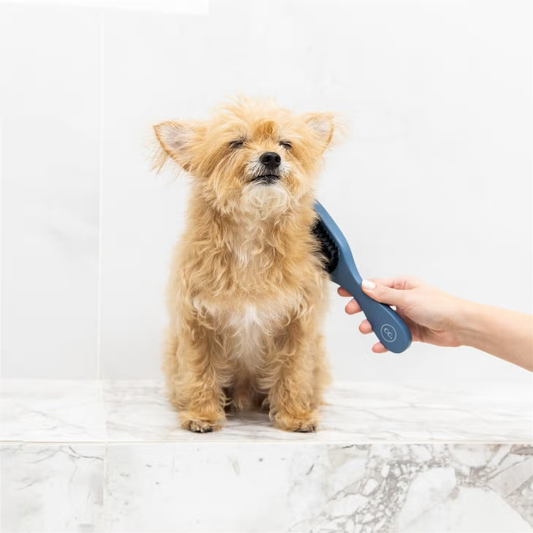 Clean Coats- Gentle Pet Brush