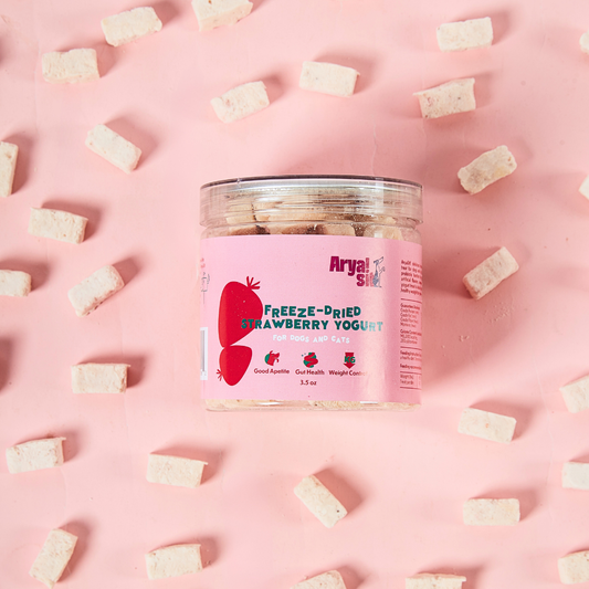 Arya Sit- Freeze-Dried Strawberry Yogurt