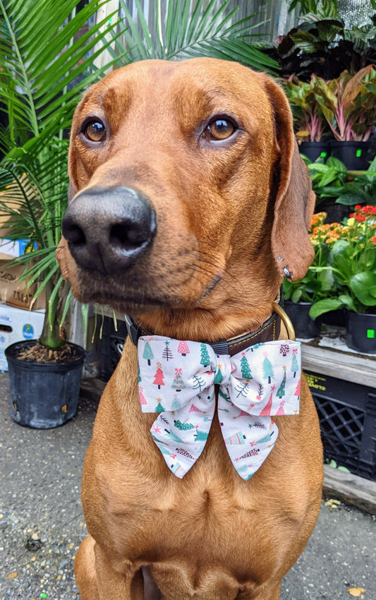 Koa's Ruff Life- Sailor Bow - Christmas Tree