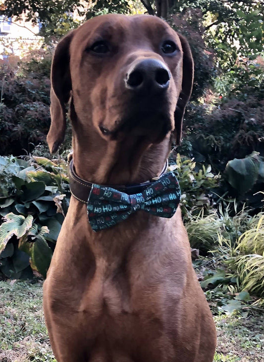 Koa's Ruff Life- Bow Tie - Ho Ho Ho