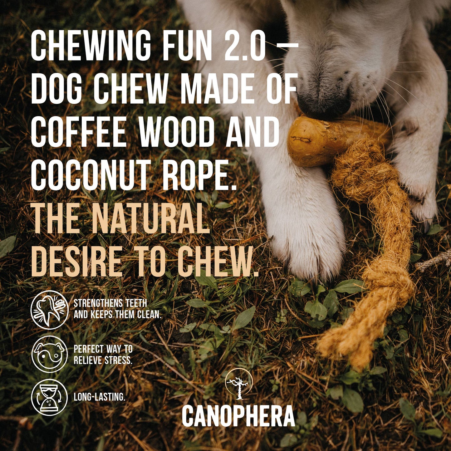 CANOPHERA- Coffee Wood and Coconut Rope Dog Toy