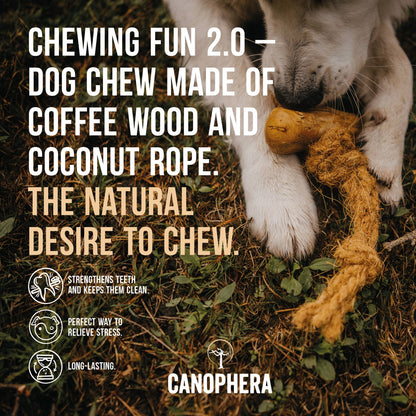 CANOPHERA- Coffee Wood and Coconut Rope Dog Toy