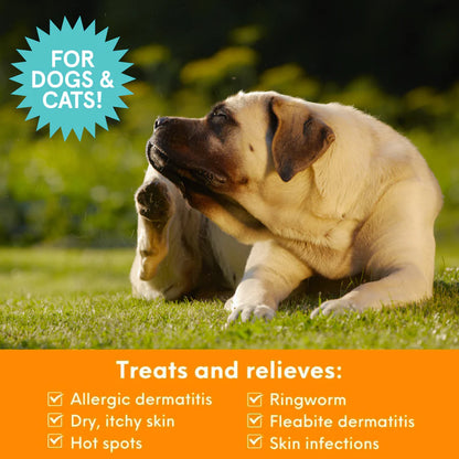 Nootie- Medicated Pet Shampoo