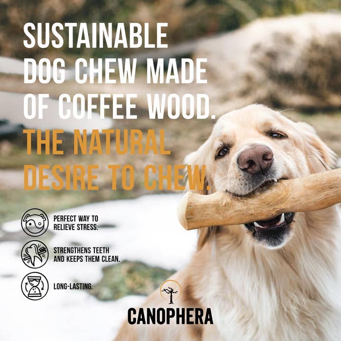 CANOPHERA- Coffee Wood Dog Chew Stick