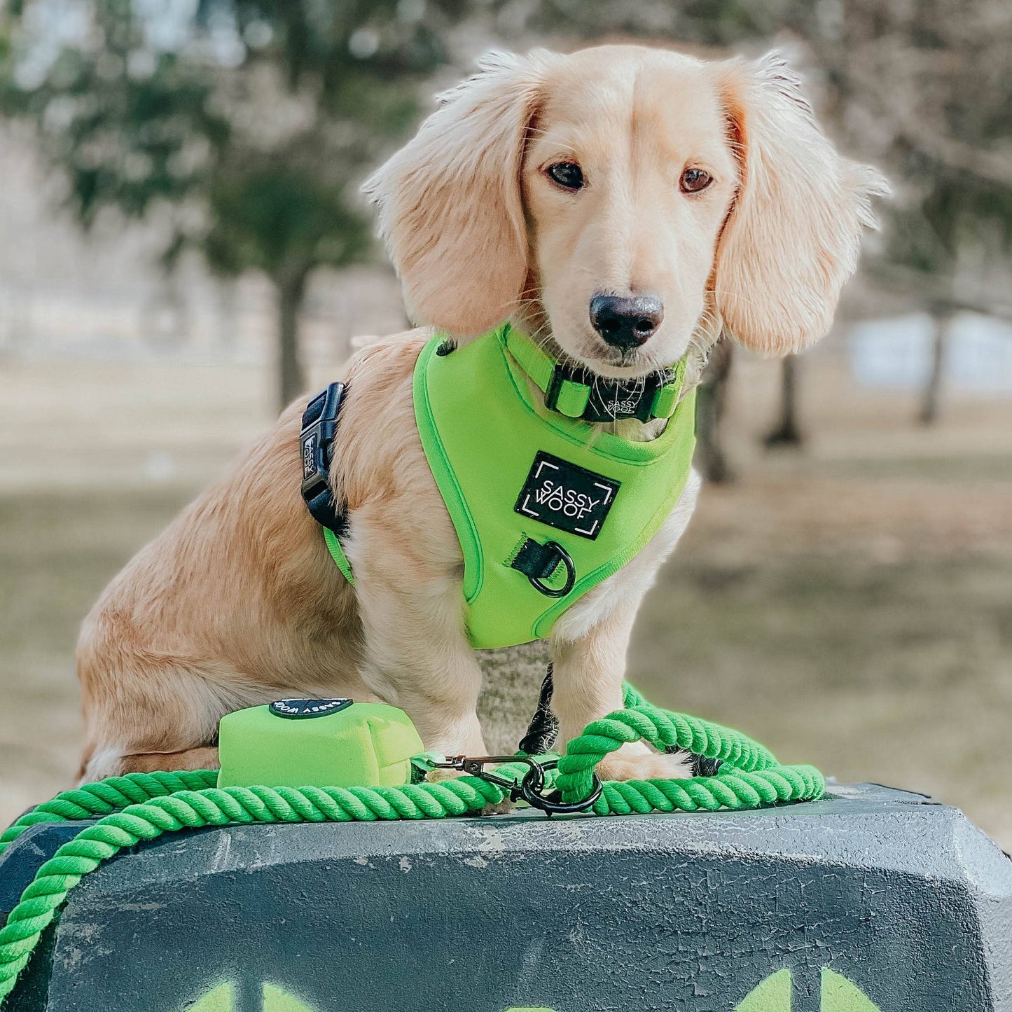 SASSY WOOF - Dog Rope Leash - Neon Green