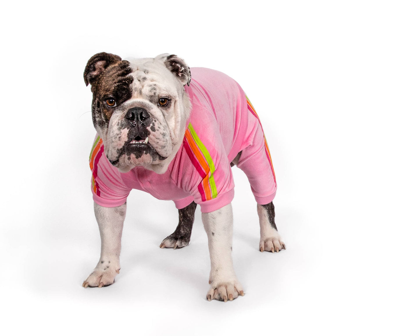 Fabdog- Pink Velour Dog Jogger