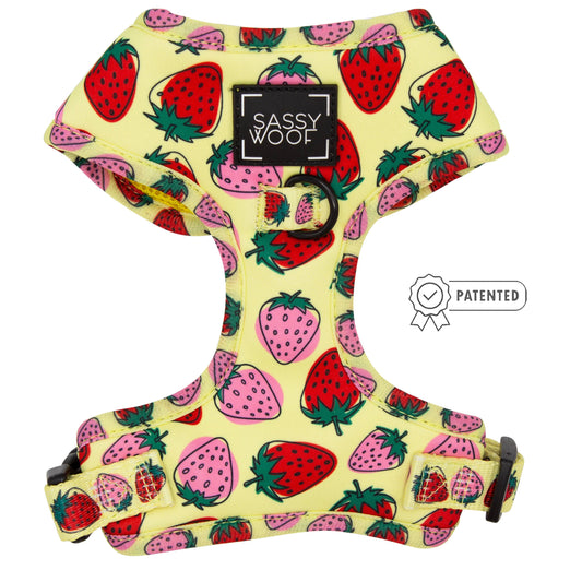 SASSY WOOF- Dog Harness - Strawberry Fields Furever