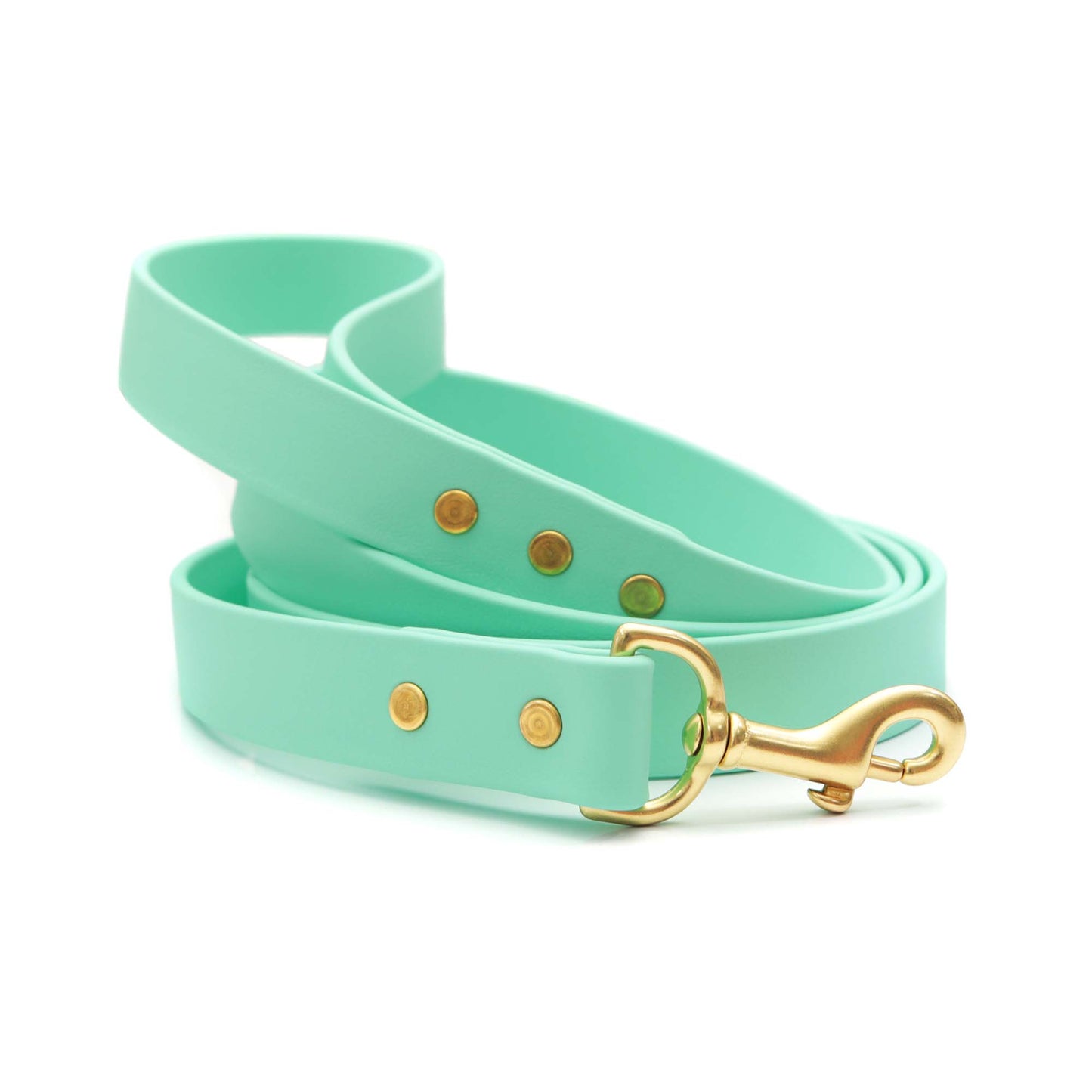 Mimi Green- Waterproof Leather Alternative Biothane Dog Leash - Seafoam