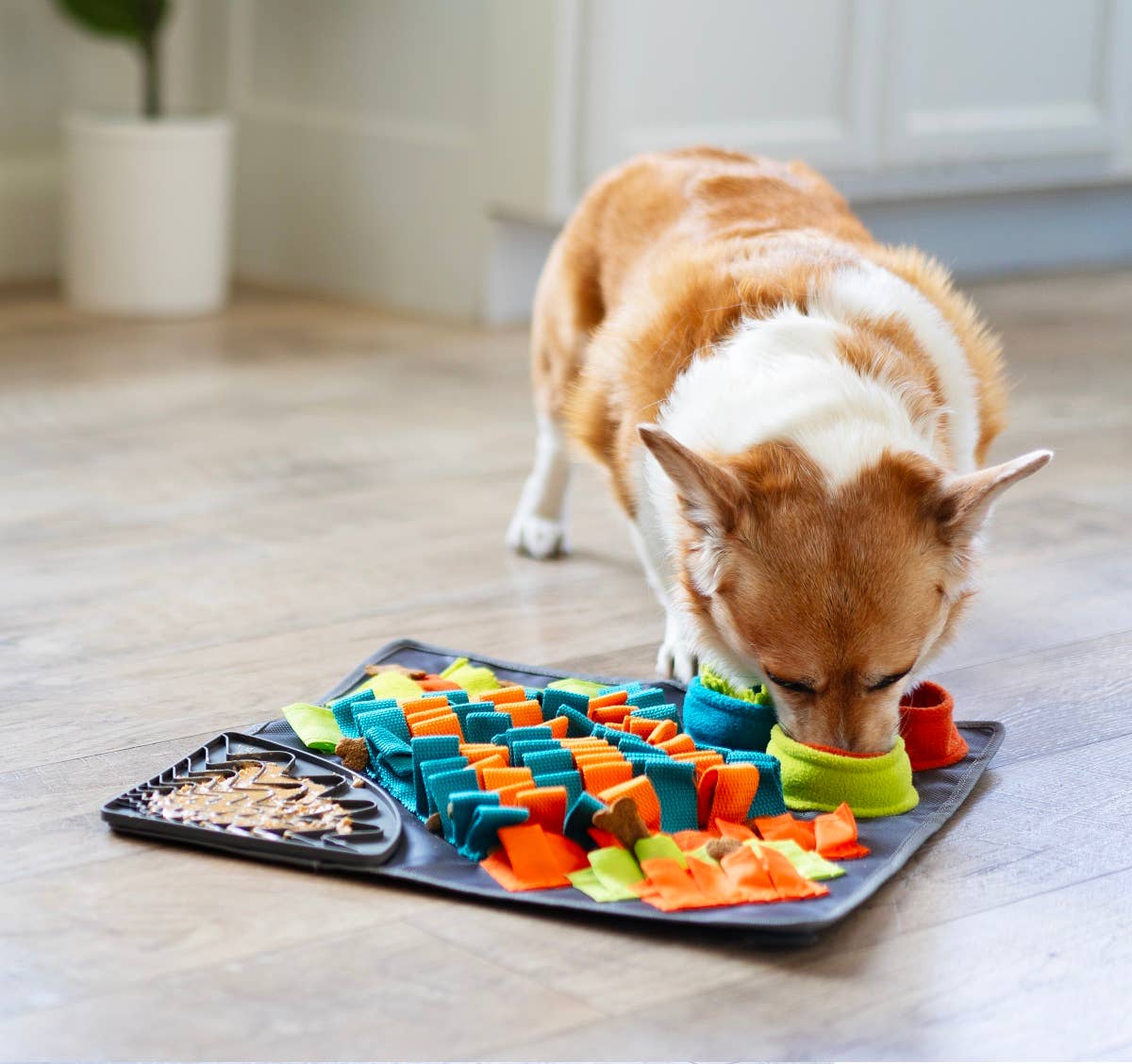 Messy Mutts- Square Forage/Snuffle Mat 16" with Suction