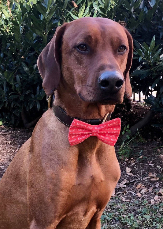 Koa's Ruff Life- Bow Tie - Santa's Naughty List