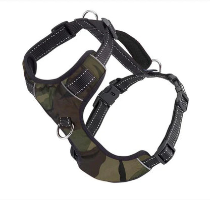 BAYDOG- Chesapeake Dog Harness