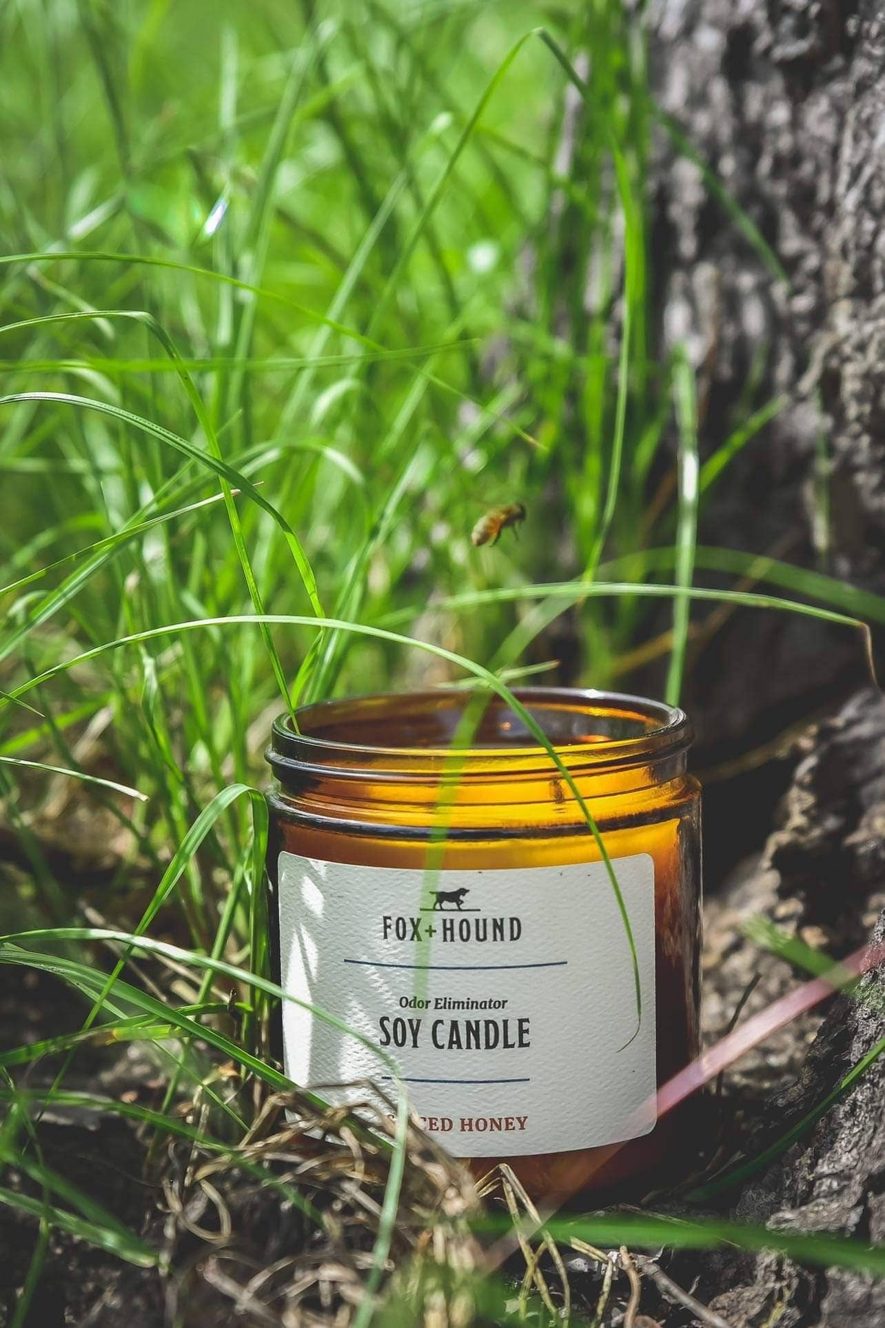 Fox + Hound- Odor Eliminator Soy Candle - Spiced Honey