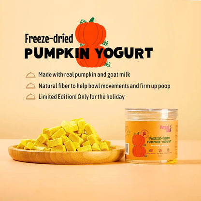 Arya Sit- Freeze-Dried Pumpkin Yogurt