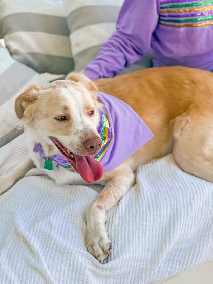 Mardi Gras Creations- Lavender Sequin Stripe Pet Bandana