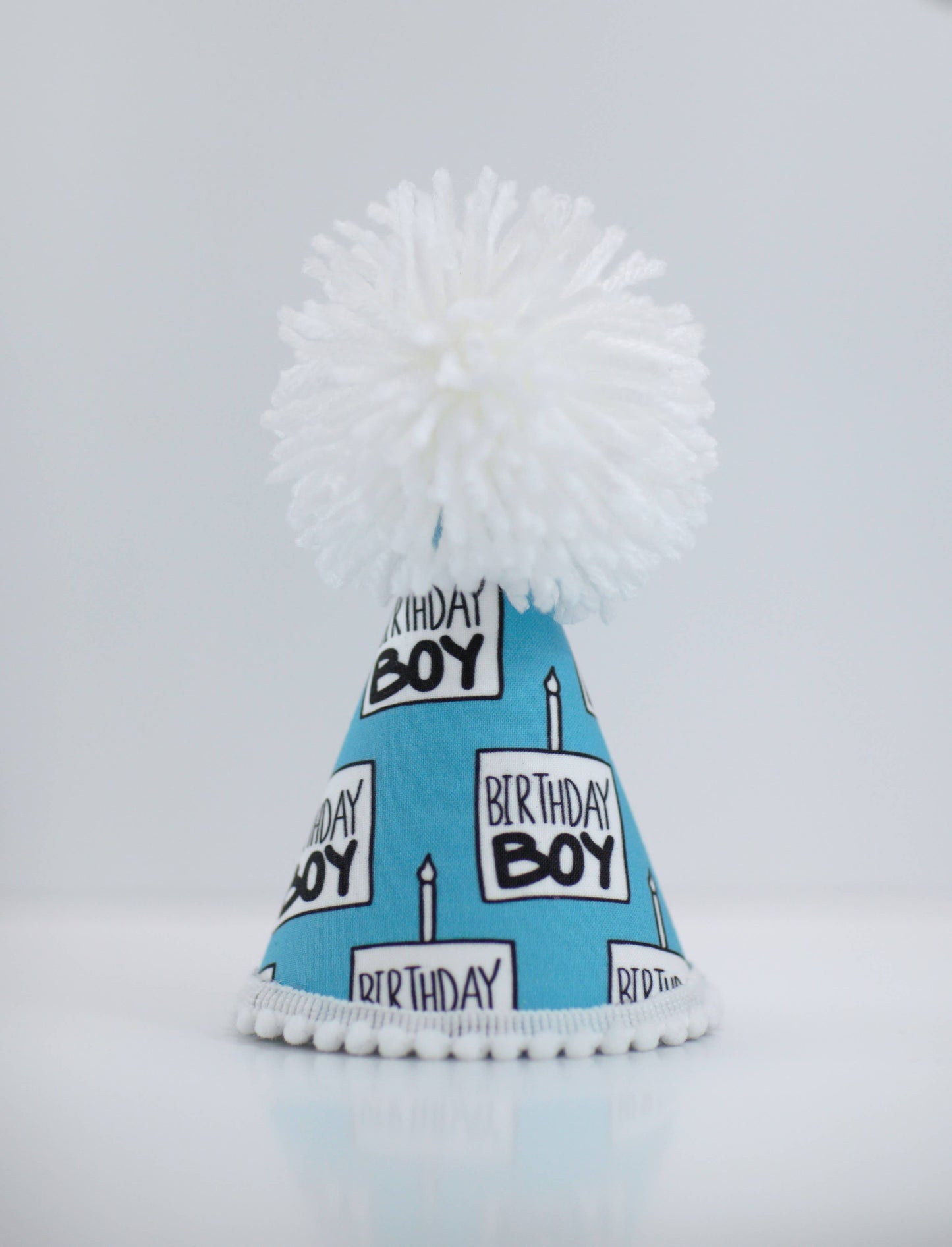 Pup Party Hats- Birthday Boy Party Hat