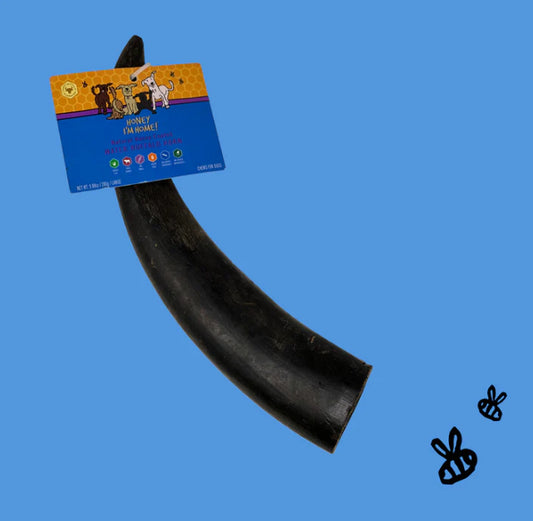 Honey I’m Home- Large Buffalo Horn