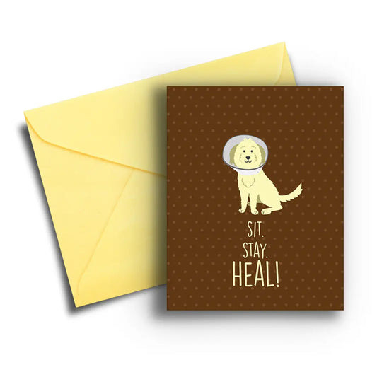 Fresh Frances- Sit Stay Heal Get Well Card