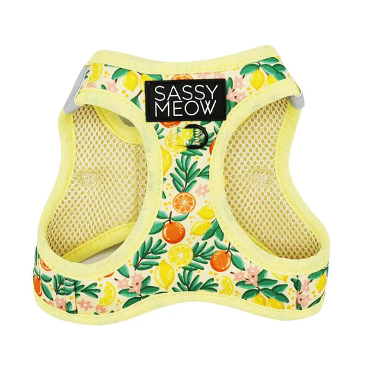 SASSY MEOW- Cat Harness - Zest Friends