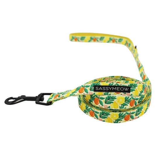 SASSY MEOW- Cat Leash - Zest Friends