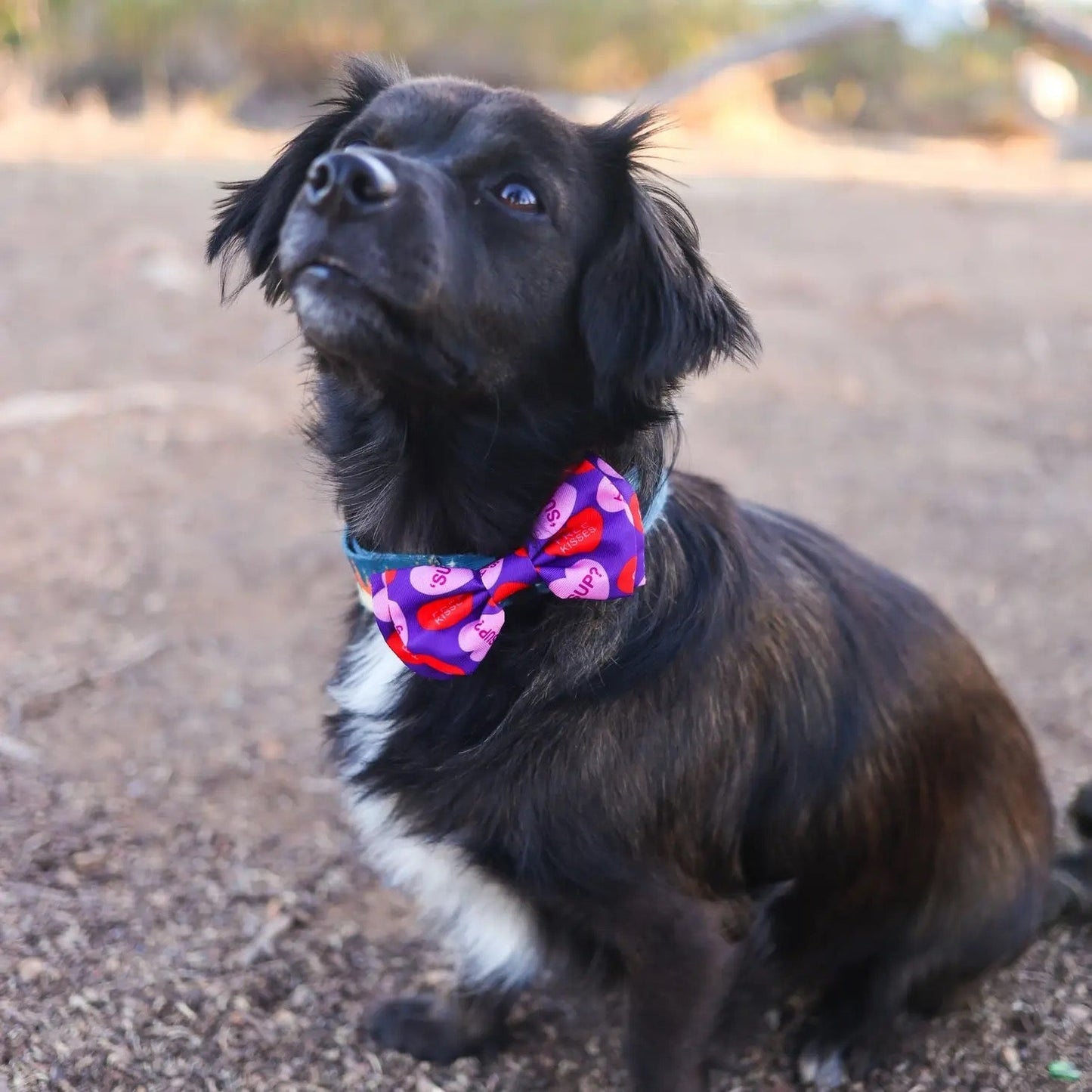 Huxley & Kent- Bow Tie - Convo Hearts