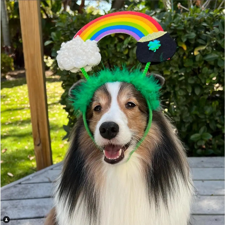 Midlee- St. Patrick's Rainbow Pot of Gold Dog Headband