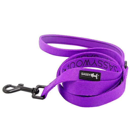 SASSY WOOF- Dog Leash - Neon Purple