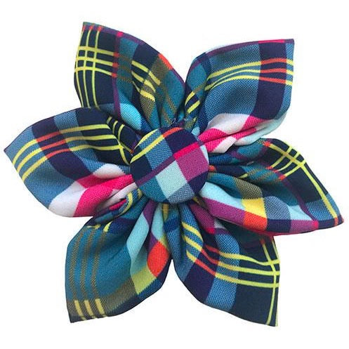 H&K- Pinwheel - Blue Madras